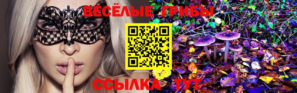 Псилоцибиновые грибы Psilocybe  Вход с VPN  Великий Устюг  Галлюциногенные грибы Magic Shrooms 